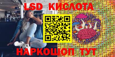 PSILOCYBIN Долгопрудный