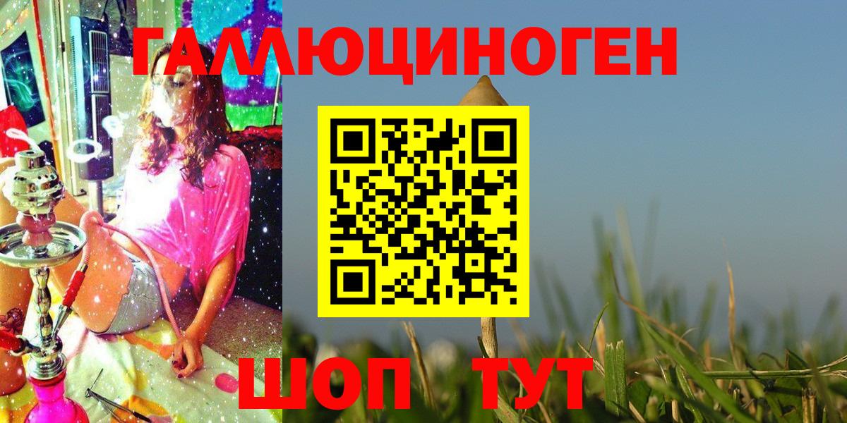 Галлюциногенные грибы GOLDEN TEACHER  Галлюциногенные грибы Psilocybe  Гудермес  Вход с VPN 